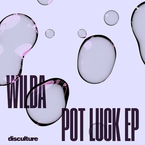 Wilda - Pot Luck EP [DISC006]